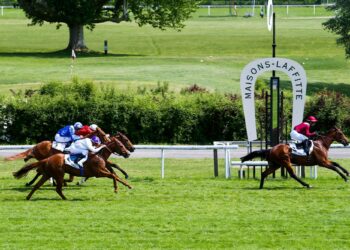 Maisons-Laffitte rachète son hippodrome à France Galop