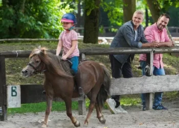 La FFE promeut l’équitation à la télévision