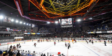 La Ligue Magnus remplit les patinoires