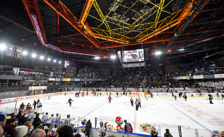 La Ligue Magnus remplit les patinoires