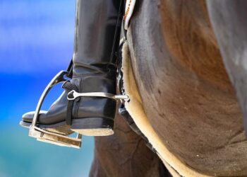 Un casino pour sauver les chevaux