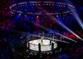 Le statut de « sportif de haut niveau » bientôt attribué aux combattants du MMA