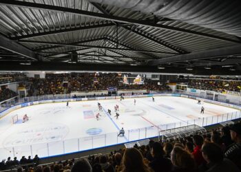 Dragons de Rouen : vers une nouvelle ère sportive et structurelle