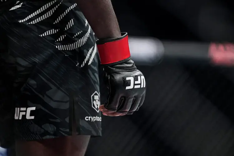 Un tournant pour l’économie du sport de combat