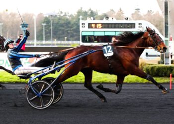 La cravache dans les courses de trot, c’est terminé