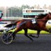La cravache dans les courses de trot, c’est terminé