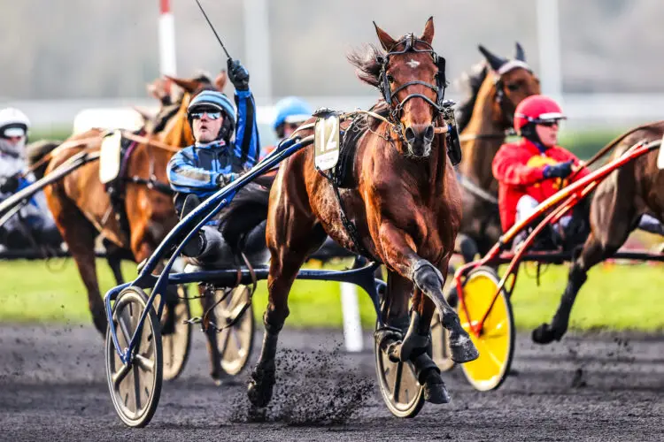 Avis de tempête au PMU