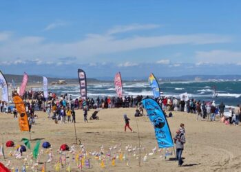 Comment transformer le vent en euros