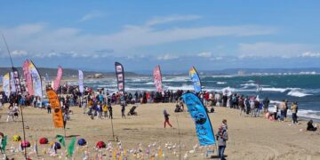 Comment transformer le vent en euros