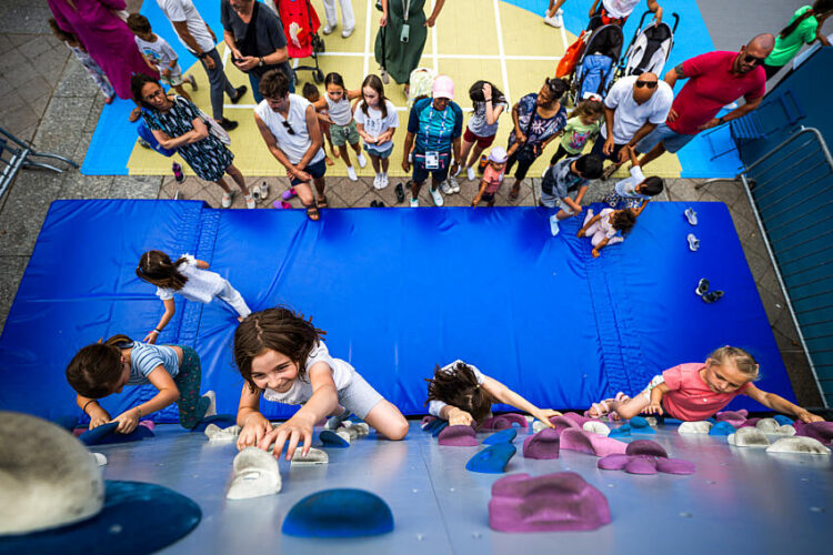 BPJEPS : le vivier humain du sport français face au défi de la précarité