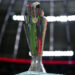 L&rsquo;UEFA refond ses compétitions nationales